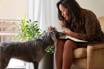 A shy dog approaches a woman who comforts him