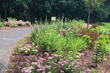 Villages of Urbana pollinator garden