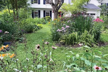 Photograph showing wildlife-friendly plantings in Janet and Jeff Crouch’s yard