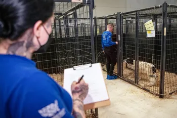 Animal care manager Katie DeMent slowly enters a kennel while behavior and enrichment specialist Vivienne Miller records a dog’s reaction.