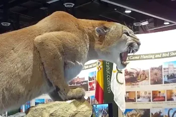 Taxidermy mountain lion posed at convention