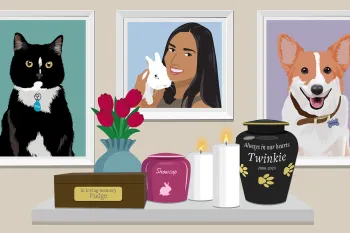 Illustration of pet photos on the wall, a floating shelf with pet urns, flowers, and candles.