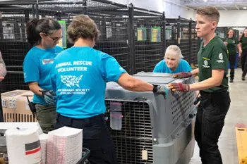 Volunteers help to transport a rescue dog to our rehabilitation center.