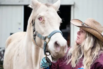 Animal transporter Dee Owens leads a blind mare who was found pacing in her pen.