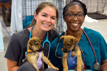 Two Veterinarians holding puppies