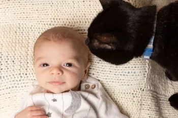 Happy baby laying on a blanket with curious cat sniffing his hair