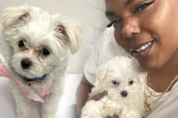 Lovie Langston with her Maltese puppy named Ziva Girl