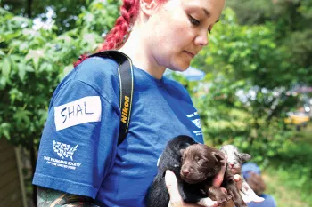 HSUS staff Shalimar Oliver holding puppies