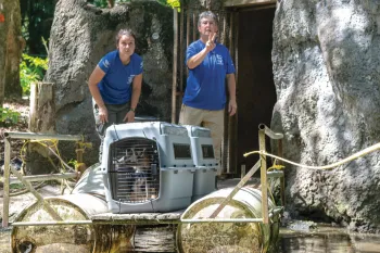 HSUS staff load a pair of lemurs onto a raft to cross a moat at zoo before transporting to sanctuary