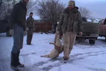 Oregon wildlife killing contest