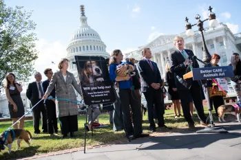 A group of people holding dogs gather in front of a building for a rally. A large sign with a dog's face and the text "Will you help me?" is displayed