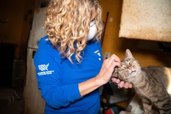 Kitty with cat at rescue