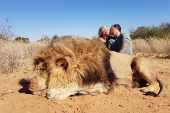 A trophy hunting image showing a couple posing with a dead lion, illustrating the cruelty of the practice.