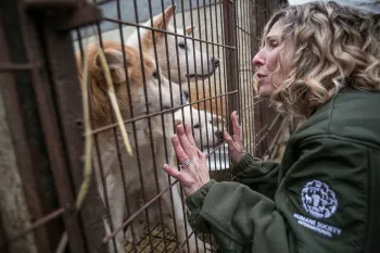 Woman greets a dog through a cage