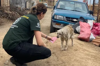 Rescue responder greets dog 