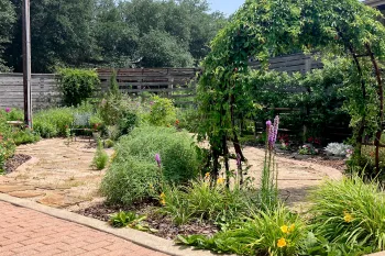 Black Beauty Ranch visitor center garden