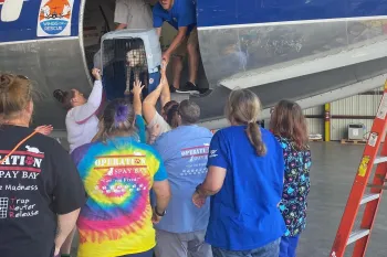 People load a dog onto a plane