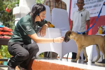 A woman feeds a dog