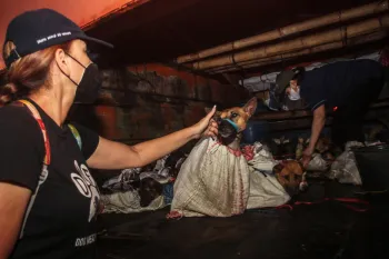 Woman comforting dog in back of truck