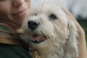 Woman holds a dog in her arms