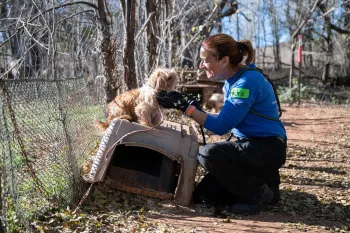 OK Multi-Species Cruelty Rescue