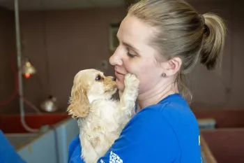 Puppy touching rescue team member's face