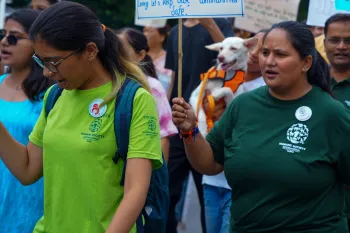 Walkathon In Dehradun To Promote Human-Dog Coexistence