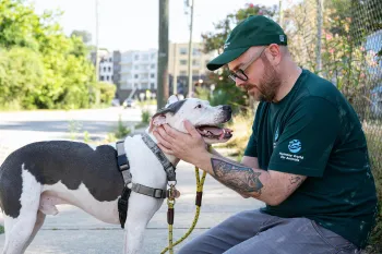 Humane World for Animals staff petting dog