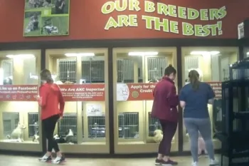 Petland store interior