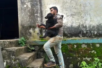 Rescuing animals from floods in India