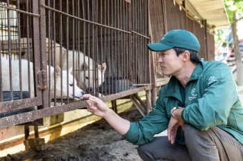 Daniel Henney at a dog meat farm in South Korea