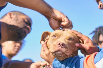 South Africa Healthy Pets Healthy Community Clinic 2025