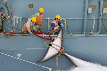 Whaling