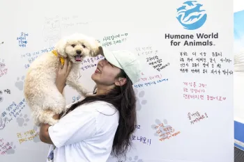 Woman holding a dog in front of a board with handwritten notes.