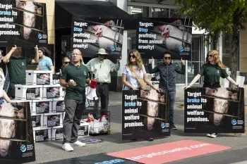 Farm animal confinement Target protest in Minneapolis