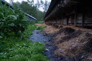 Finland Fur Farm Investigation