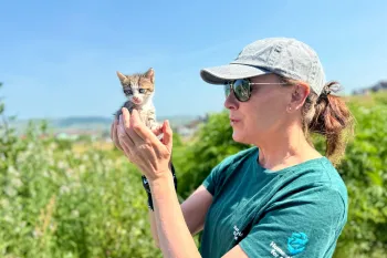 A person in a green tshirt and baseball cap happily holds a kitten in front of a green plants