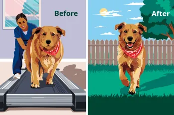 Split image illustration: On the left, a dog with a red bandana walks on a treadmill indoors labeled "Before." On the right, the same dog runs outside on grass in a fenced yard labeled "After".