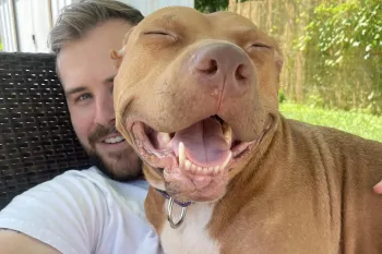 dog smiling, sitting on a person's lap