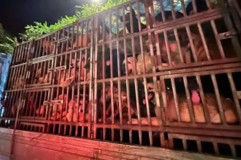 A large metal cage mounted on a vehicle, filled with numerous dogs