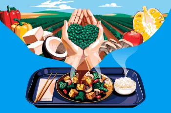 Illustration of a plant-based meal tray with tofu, vegetables, and rice, with ingredients like beans and produce shown above.