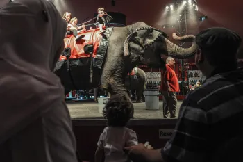 Circus scene where an elephant is carrying several children on its back in front of an audience.