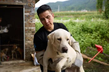 A person holding a large cream-colored dog in their arms