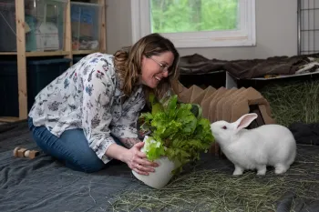 At the rabbit rescue Save the Buns, a woman holds out a bouquet of lettuce to a white rabbit who as been rescued from research.
