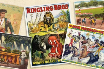 Collage of vintage circus and animal-racing posters and postcards, featuring Ringling Bros. animals, horse performers, greyhound races, and a bullfighting illustration.