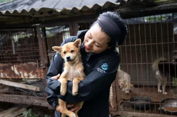 Woman holding a small tan puppy