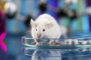 Mouse in a petri dish
