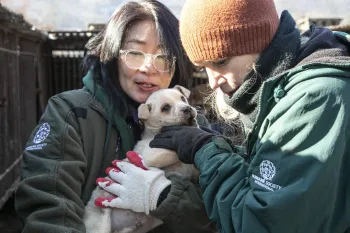 JungAh Chae and Lola Webber of HSI, hold a puppy at a dog meat farm
