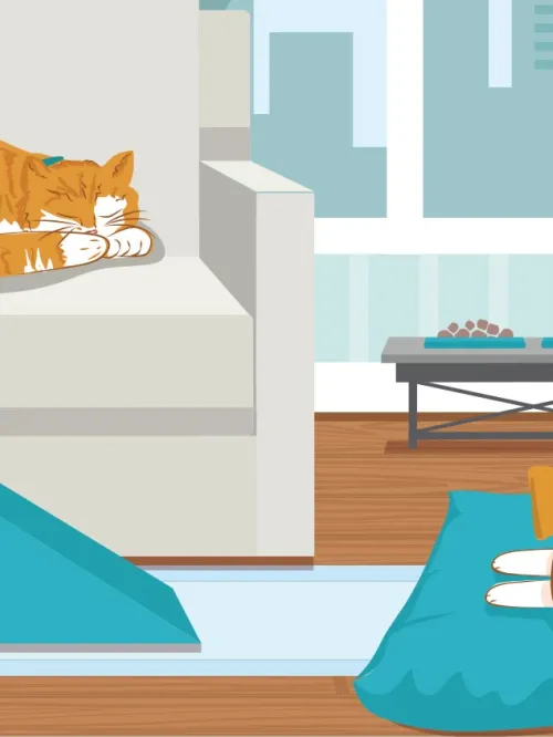 Illustration of a geriatric cat and dog in a home