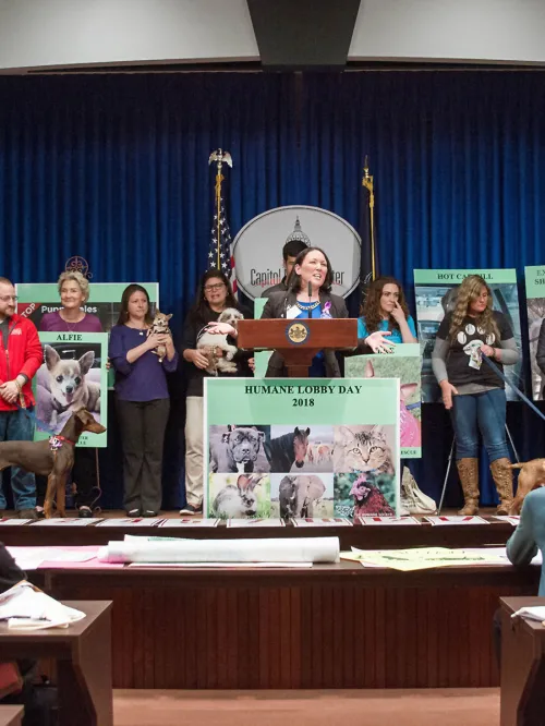 Pennsylvania Humane Lobby Day